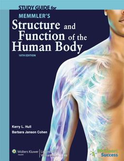 Structure and Function of the Human Body