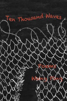 Ten Thousand Waves  9781609403508 Front Cover