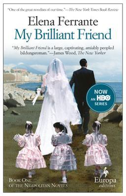 My Brilliant Friend  9781609450786 Front Cover
