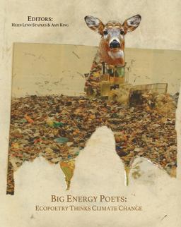Big Energy Poets: Ecopoetry Thinks Climate Change  9781609641030 Front Cover