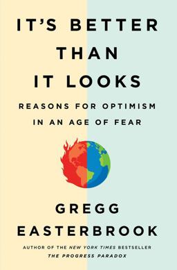 It's Better Than It Looks Reasons for Optimism in an Age of Fear  9781610397414 Front Cover