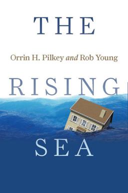 Rising Sea 6th 9781610910040 Front Cover