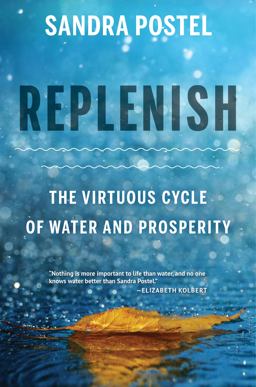 Replenish The Virtuous Cycle of Water and Prosperity 3rd 9781610917902 Front Cover