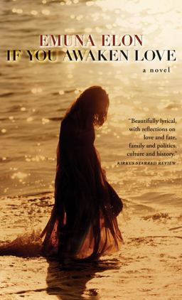 Simcha Gdola Bashamayim  9781611091144 Front Cover