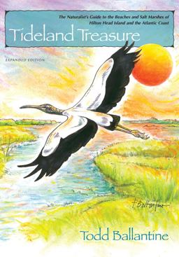 Tideland Treasure Expanded Edition  9781611171563 Front Cover