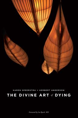 Divine Art of Dying How to Live Well While Dying  9781611250237 Front Cover