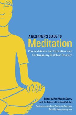 Beginner's Guide to Meditation Practical Advice and Inspiration from Contemporary Buddhist Teachers  9781611800579 Front Cover