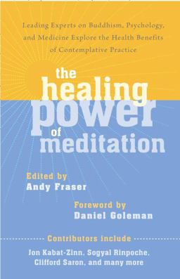 Healing Power of Meditation Leading Experts on Buddhism, Psychology, and Medicine Explore the Health Benefits of Contemplative Practice  9781611800593 Front Cover