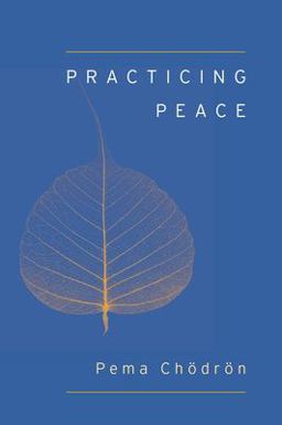 Practicing Peace  9781611801897 Front Cover