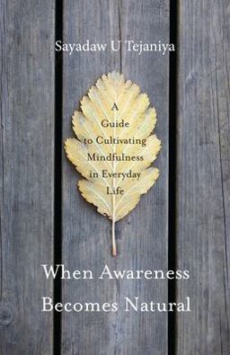 When Awareness Becomes Natural A Guide to Cultivating Mindfulness in Everyday Life  9781611803075 Front Cover