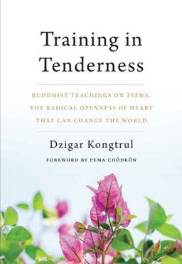 Training in Tenderness Buddhist Teachings on Tsewa, the Radical Openness of Heart That Can Change the World  9781611805581 Front Cover
