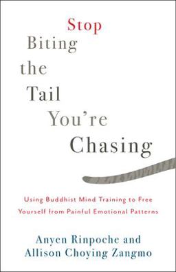 Stop Biting the Tail You're Chasing Using Buddhist Mind Training to Free Yourself from Painful Emotional Patterns  9781611805710 Front Cover