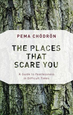 Places That Scare You A Guide to Fearlessness in Difficult Times  9781611805963 Front Cover