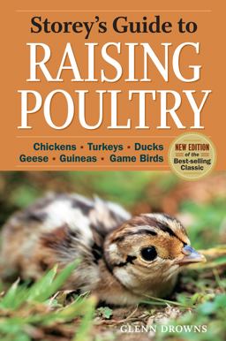 Storey's Guide to Raising Poultry, 4th Edition Chickens, Turkeys, Ducks, Geese, Guineas, Game Birds 4th 9781612120003 Front Cover