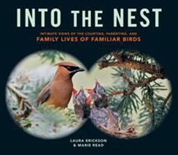 Into the Nest Intimate Views of the Courting, Parenting, and Family Lives of Familiar Birds  9781612122298 Front Cover
