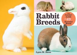 Rabbit Breeds Rabbit Breeds