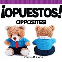 ¡Opuestos! (Opposites!)