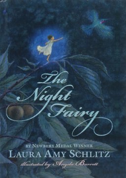 Night Fairy