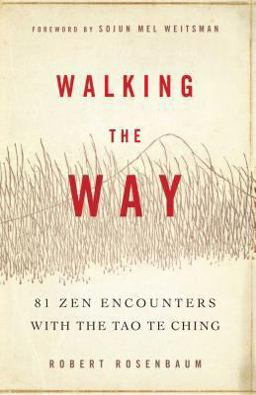 Walking the Way 81 Zen Encounters with the Tao Te Ching  9781614290254 Front Cover