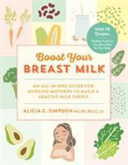 Boost Your Breast Milk An All-In-One Guide for Nursing Mothers to Build a Healthy Milk Supply  9781615193462 Front Cover