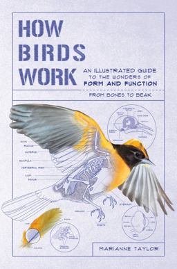 How Birds Work An Illustrated Guide to the Wonders of Form and Function--From Bones to Beak  9781615196470 Front Cover