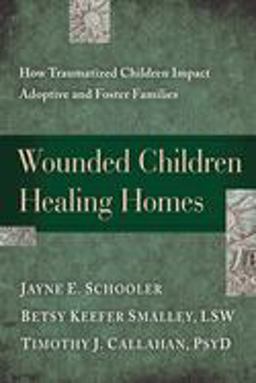Wounded Children, Healing Homes How Traumatized Children Impact Adoptive and Foster Families  9781615215683 Front Cover