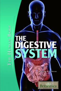 The Digestive System