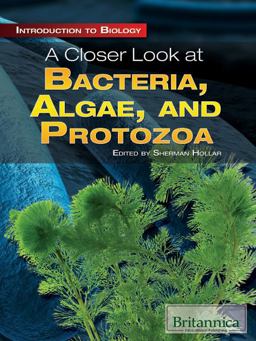 A Closer Look at Bacteria, Algae, and Protozoa