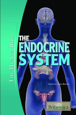 The Endocrine System