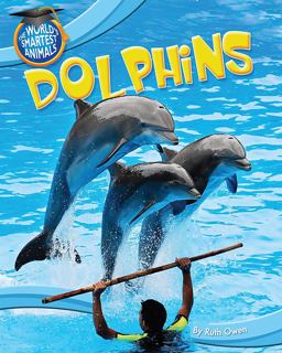Dolphins Dolphins