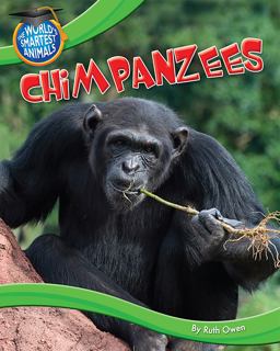 Chimpanzees Chimpanzees