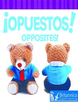 Libros Infantiles Sobre Números y Matemáticas/Counting and Math Board Books