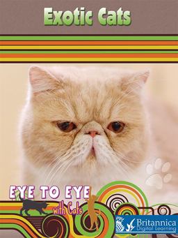 Eye to Eye with Cats Eye to Eye with Cats
