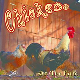 Chickens on the Farm