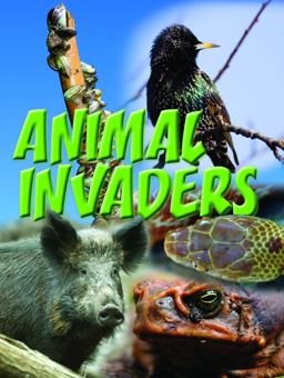 Animal Invaders