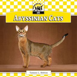 Abyssinian Cats