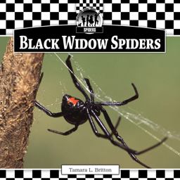 Black Widow Spiders