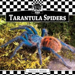 Tarantula Spiders