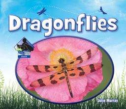 Dragonflies