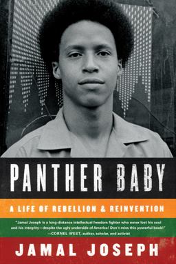 Panther Baby  9781616201296 Front Cover