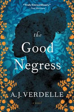 Good Negress A Novel  9781616205270 Front Cover