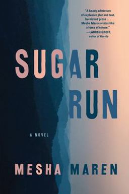 Sugar Run A Novel  9781616206215 Front Cover