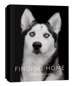 Finding Home: 12 Notecards and Envelopes  9781616895228 Front Cover