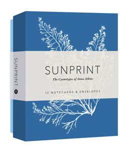 Sunprint Notecards: the Cyanotypes of Anna Atkins (12 Notecards; 12 Designs; Matching Envelopes; Keepsake Box) The Cyanotypes of Anna Atkins  9781616895914 Front Cover