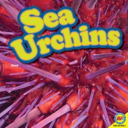 Sea Urchins