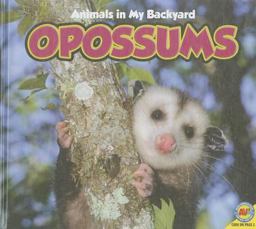Opossums