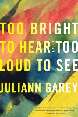 Too Bright to Hear Too Loud to See  9781616951290 Front Cover