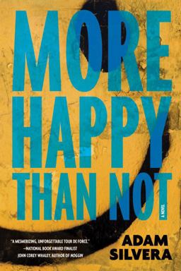 More Happy Than Not  9781616955601 Front Cover
