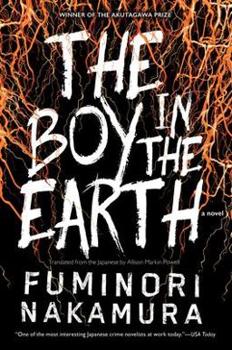 Boy in the Earth  9781616958954 Front Cover