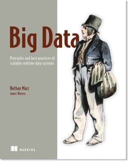 Big Data Principles and Best Practices of Scalable Realtime Data Systems  9781617290343 Front Cover